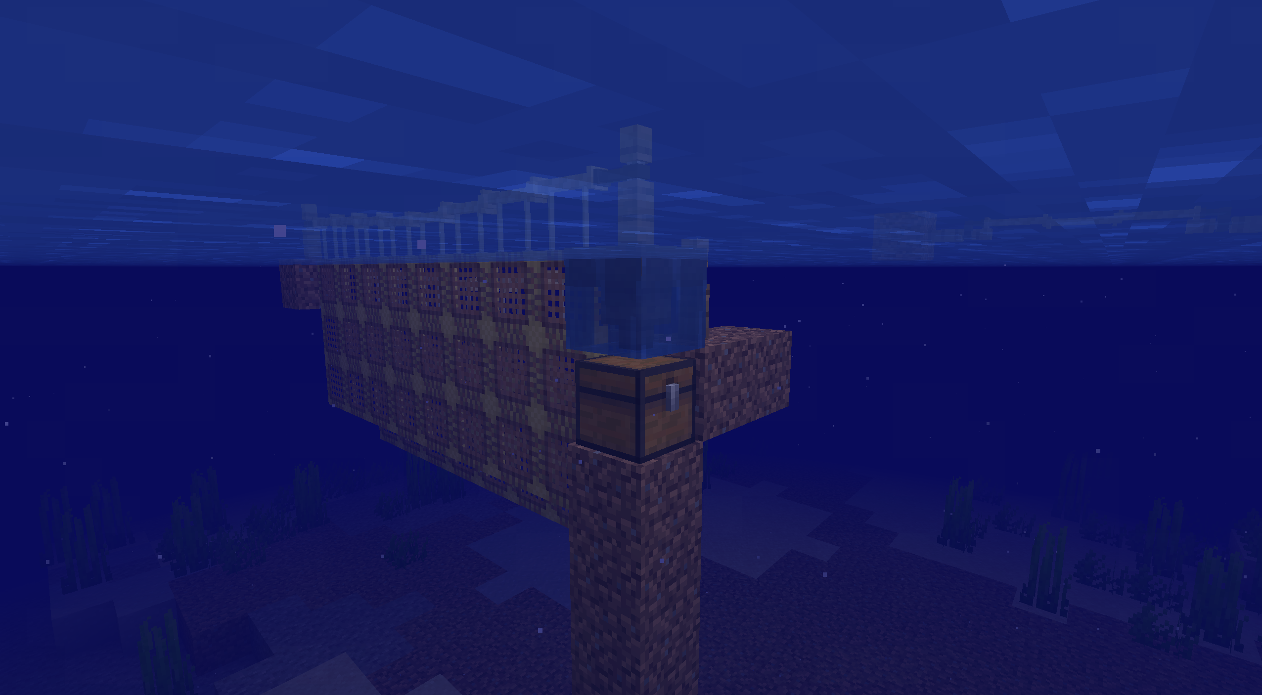 Underwater view of a Net Anchor with a chest attached to its supporting pillar, the net wall stretching away beneath the surface.